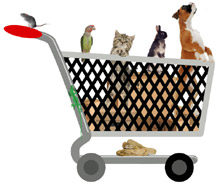 Buy a pet sale