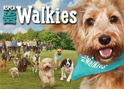 RSPCA Big Walkies