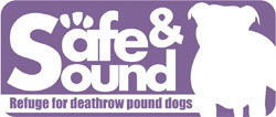 Safe and Sound logo