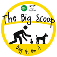 The Big Scoop logo