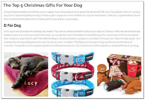 Top 5 Christmas Gifts For Your Dog