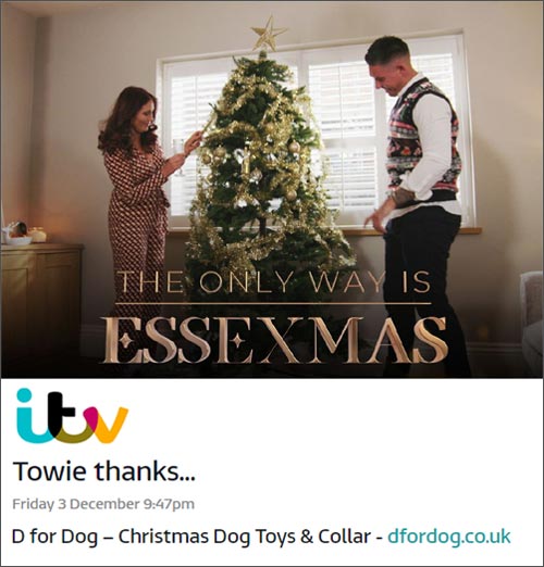 Xmas dog collar and toys for The Only Way Is Essex Christmas Special