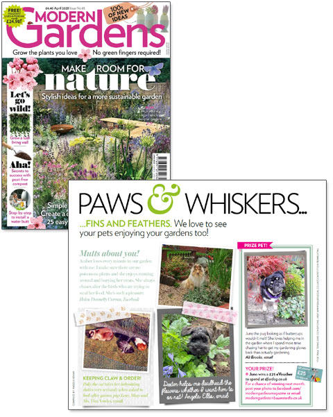 D for Dog in Modern Gardens Magazine