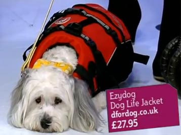 Dog Life Jacket ITV
