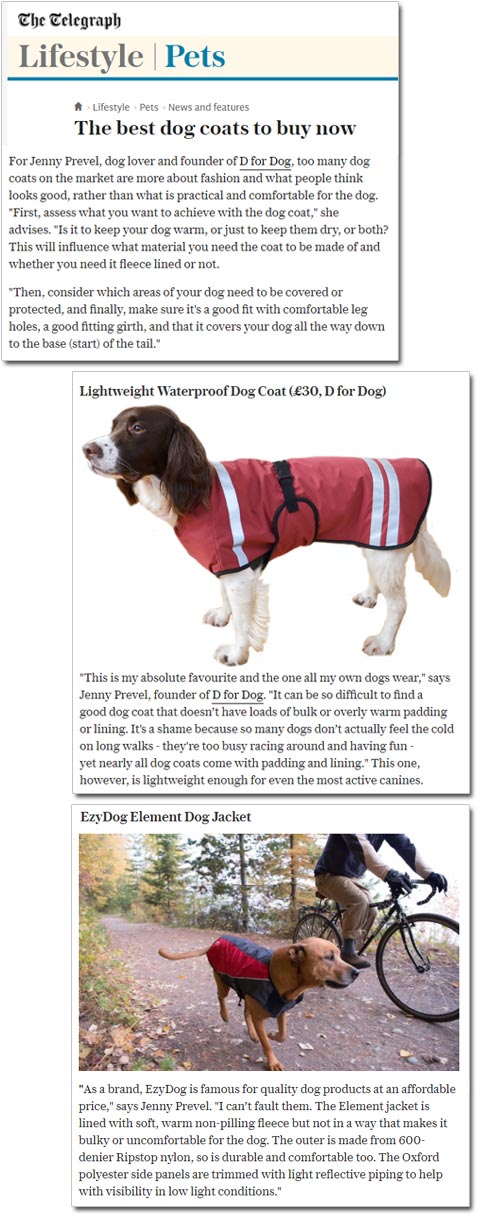The best dog coats