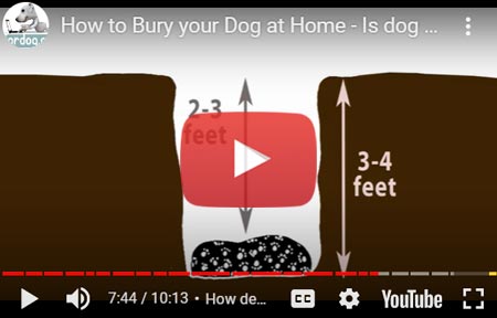 Burying your dog at home