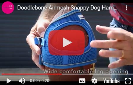 Doodlebone Snappy Harness