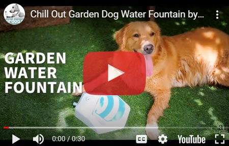 Outdoor dog water fountain
