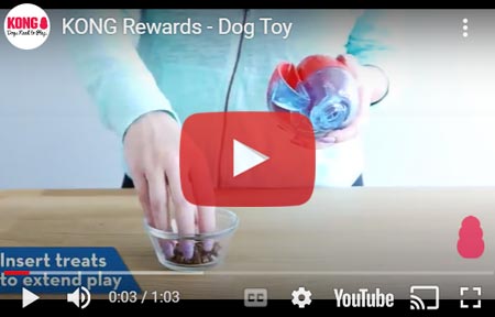 Kong Rewards Shell and Ball Treat Toys