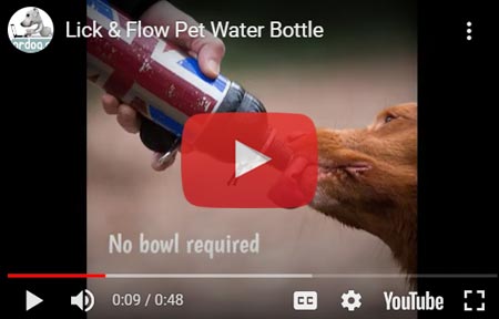 Lick n Flow Dog Water Bottle
