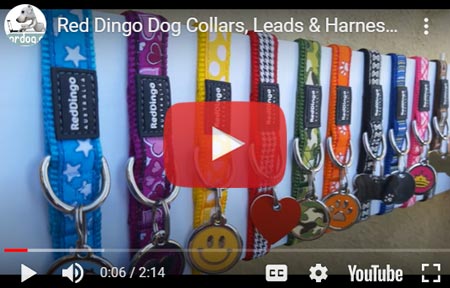 Red Dingo Dog Collars Leads Harnesses