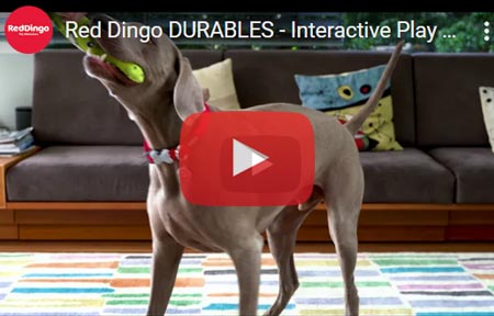 Red Dingo Durable tough dog toys