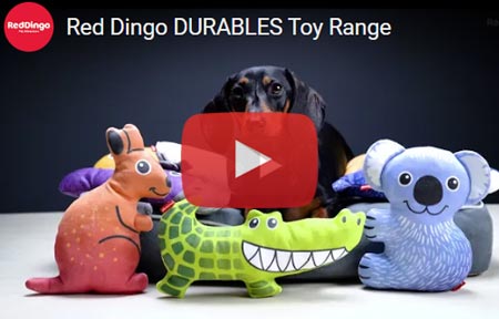 Red Dingo Durables tough dog toys