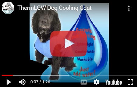 ThermLOW Dog Cool Coat