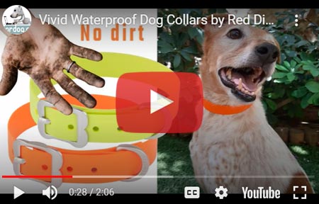 Waterproof dog collars