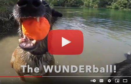 Wunderball virtually indestructible dog ball