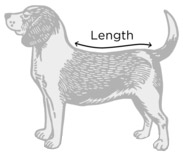 dog mac raincoat measuring guide