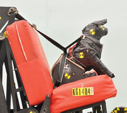 Kurgo crash tested dog car harness