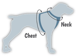 Kurgo dog measuring