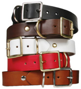 leather dog collars