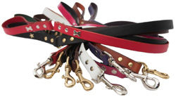 leather dog leads