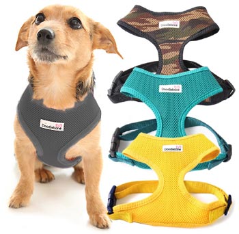 Doodlebone Air Mesh dog harness