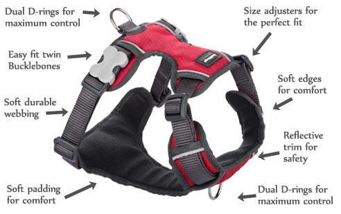 Padded Red Dog Harness features