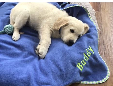 Personalised dog blanket