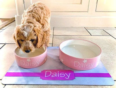 Personalised dog bowl feeding mats