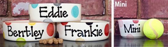 Personalised dog bowls in spotty design