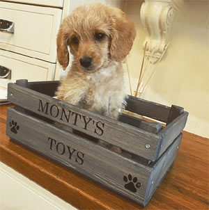 wooden personalised grey dog toy box