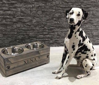 Personalised wooden double dog bowl feeder