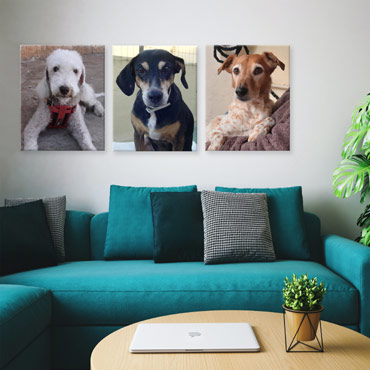 canvas pictures for living room