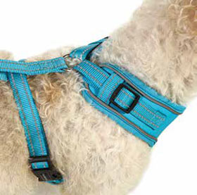 adjustable airmesh dog harness