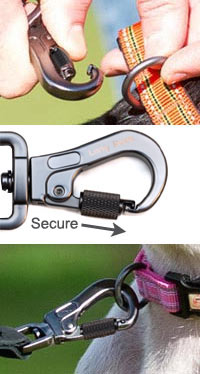 dog lead with secure clip