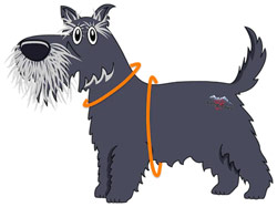 Funk The Dog harness measuring guide