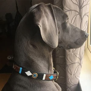 Beaded leather dog collar in brown and blue