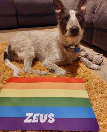 Pride dog bowl food mat