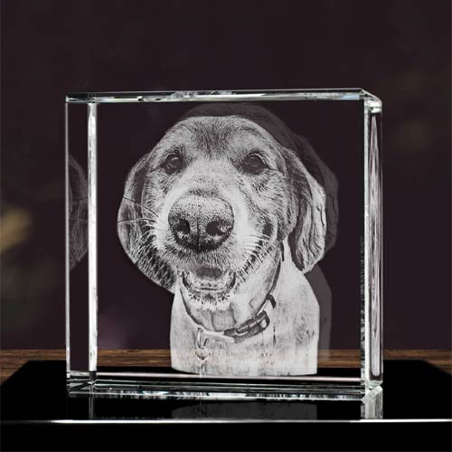 3D Photo Engraved Crystal Block