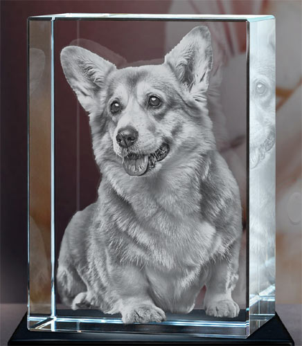 3D Photo Engraved Crystal Block