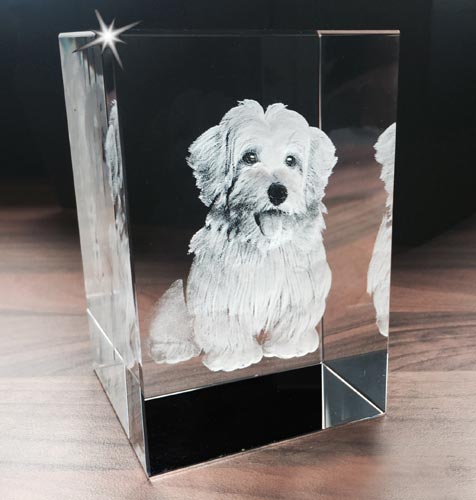 3D Photo Engraved Crystal Block