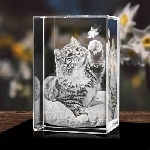 3D Photo Engraved Crystal Block