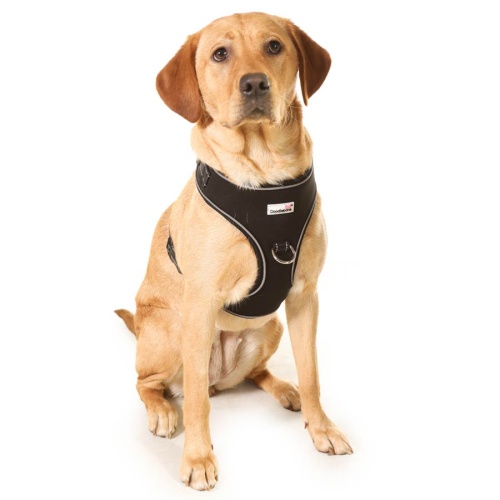 Doodlebone Adjustable Airmesh Dog Harness UK