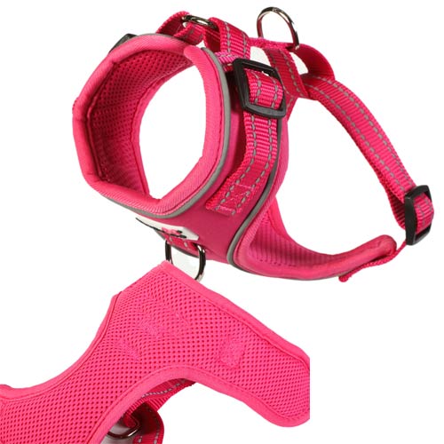 Doodlebone Adjustable Airmesh Harness