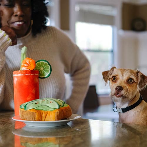 Barking Brunch Avocado Toast Dog Toy