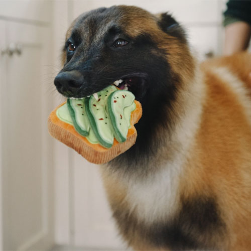 Barking Brunch Avocado Toast Dog Toy