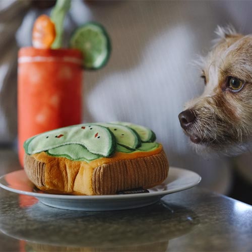 Barking Brunch Avocado Toast Dog Toy