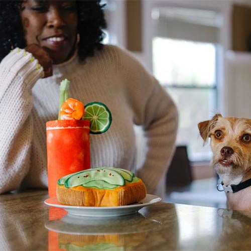 Barking Brunch Buddy Mary Dog Toy