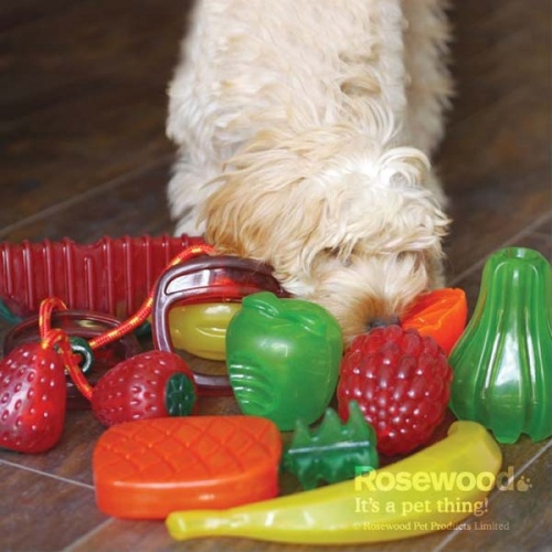 Biosafe Germ Smart Fruit Dog Toys