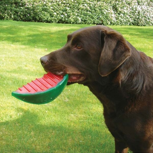 Biosafe Germ Smart Fruit Dog Toys